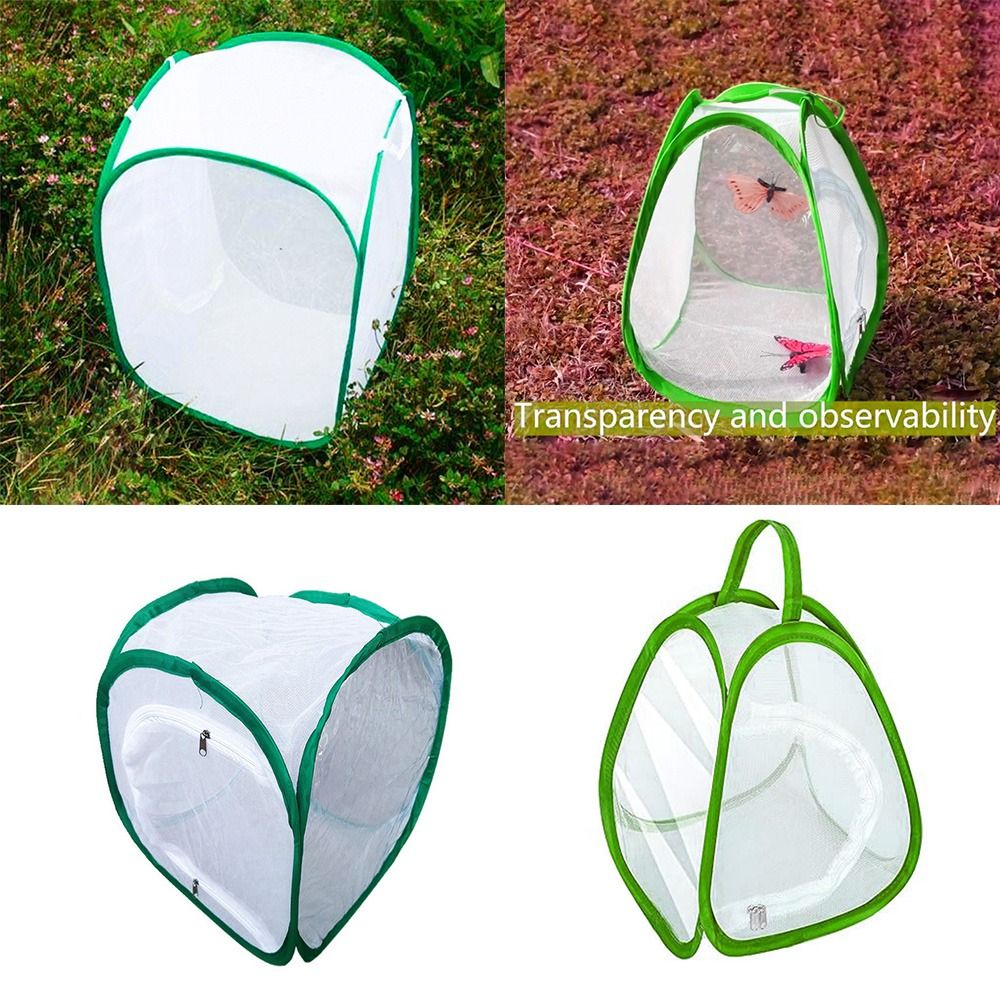 Green Screen Collapsible - Gabbia per insetti pieghevole verde Apertura