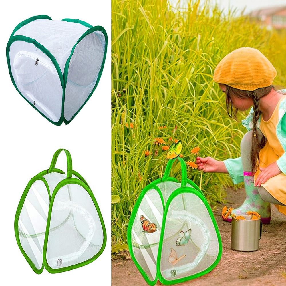 Green Screen Collapsible - Gabbia per insetti pieghevole verde Maglia