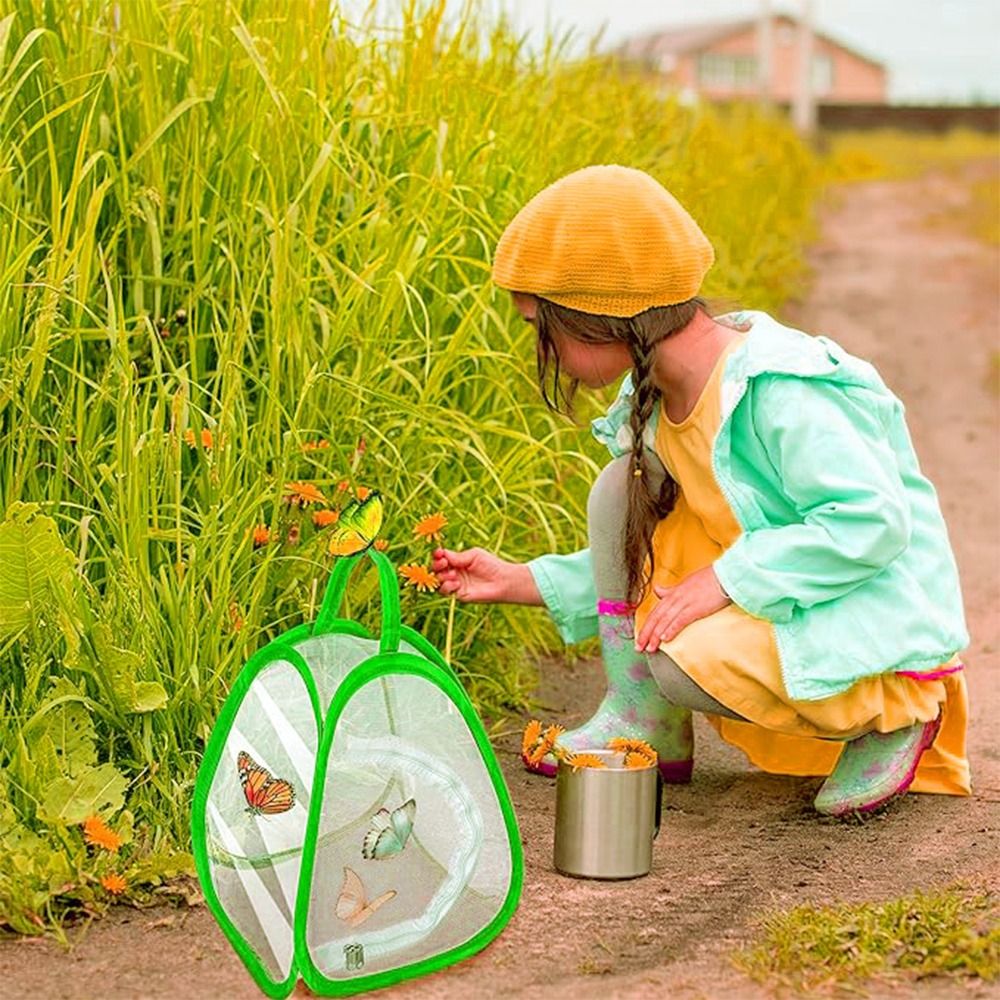 Gabbia per insetti pieghevole  - Green Screen Collapsible recensione e prezzo