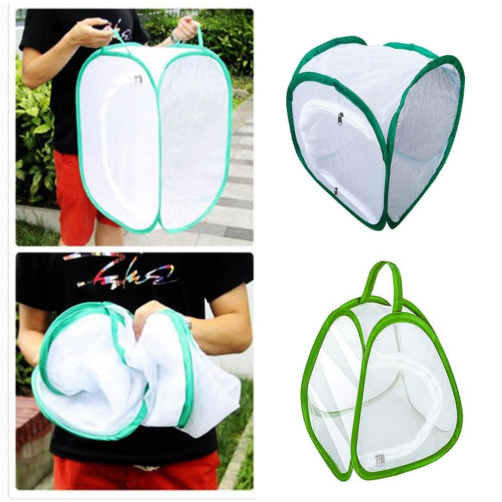 Gabbia per insetti pieghevole  - Green Screen Collapsible recensione e prezzo
