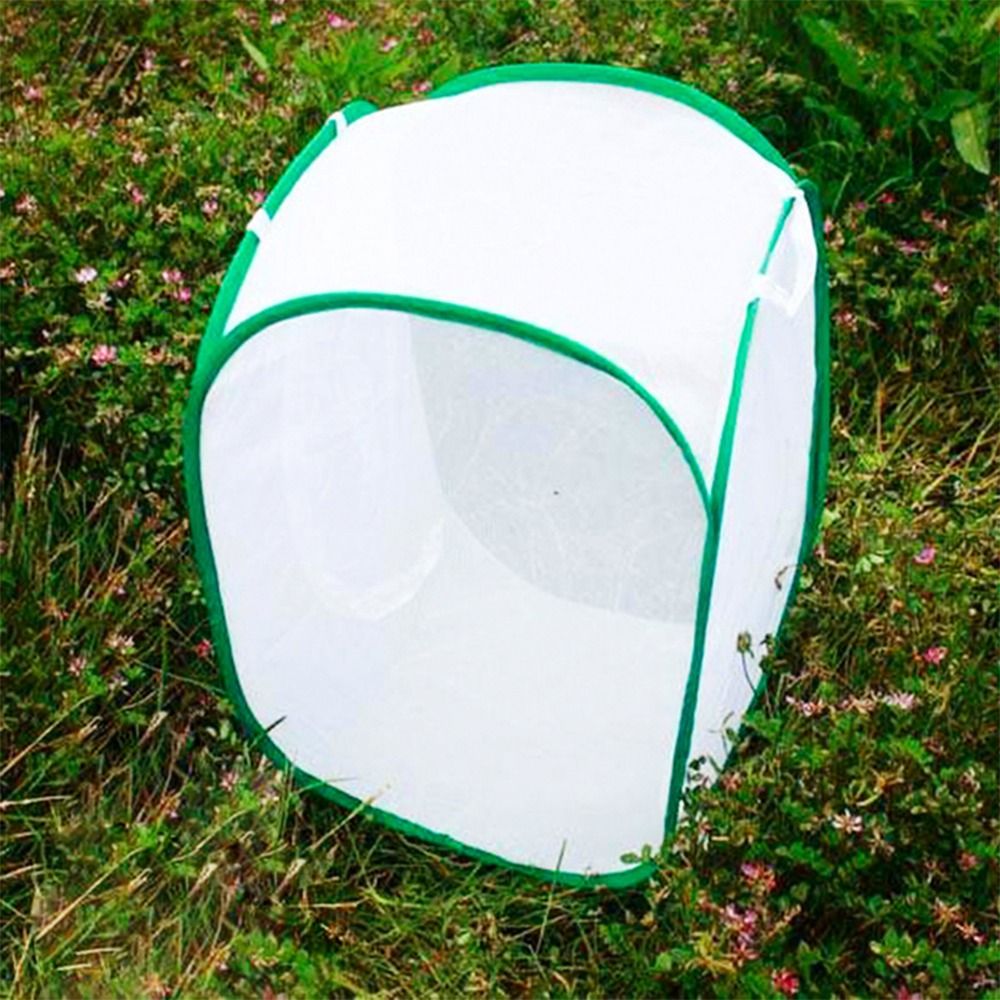 Gabbia per insetti pieghevole  - Green Screen Collapsible recensione e prezzo