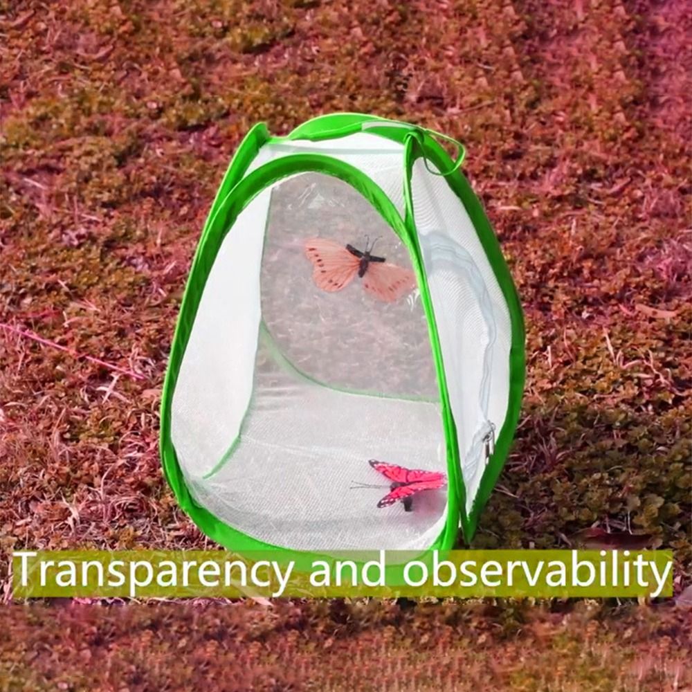 Gabbia per insetti pieghevole  - Green Screen Collapsible recensione e prezzo
