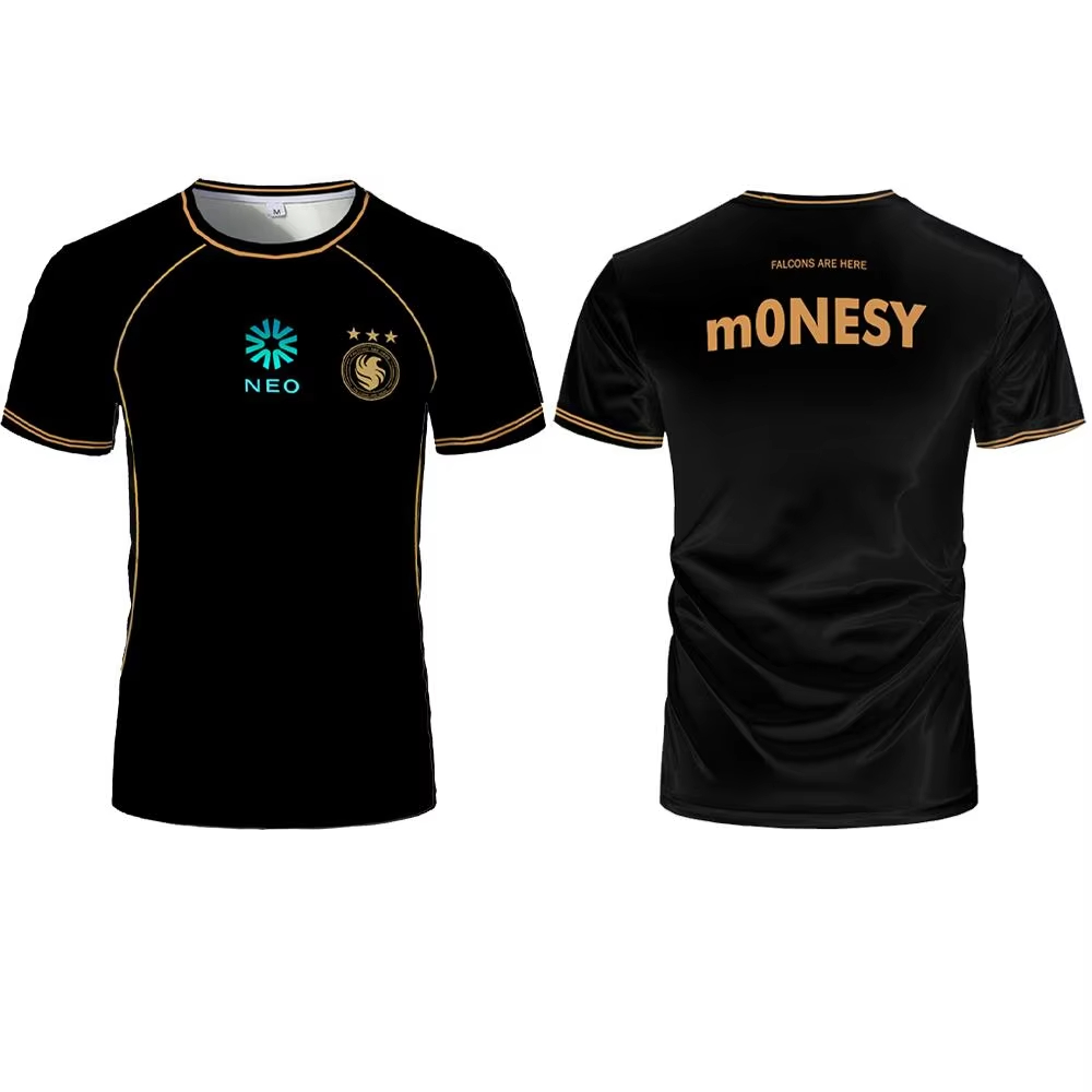 Maglie da Allenamento Team Fal - Esports Gaming Training recensione e prezzo