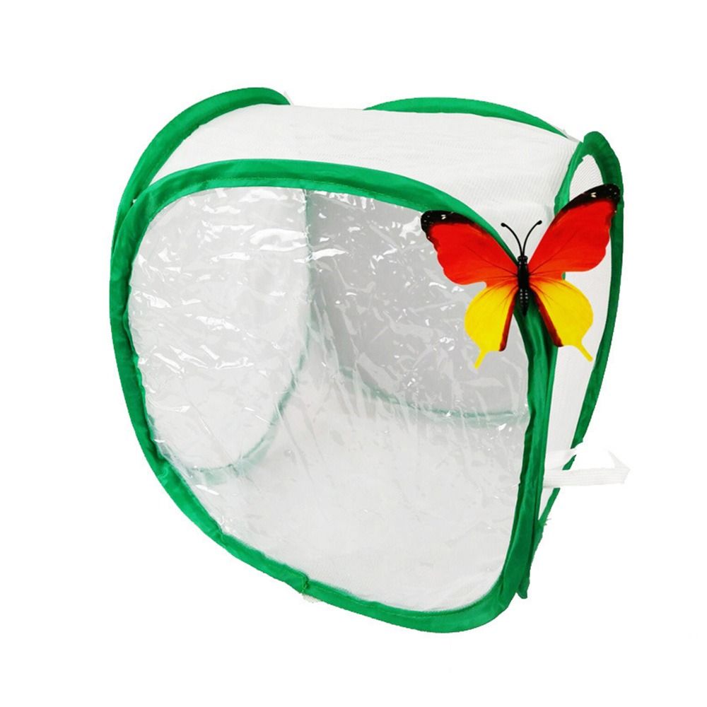Gabbia per insetti pieghevole  - Green Screen Collapsible recensione e prezzo
