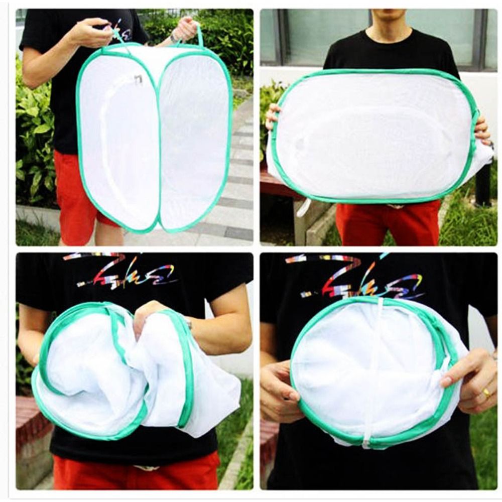 Gabbia per insetti pieghevole  - Green Screen Collapsible recensione e prezzo