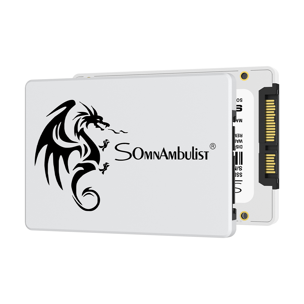 SomnAmbulist SSD 2.5 64GB 128G - Samsung Ssd 980 Pro recensione e prezzo